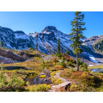 Lais Puzzle - Fragment eines Wanderwegs im Mount Baker Visitor Center, Washington - 40, 100, 200, 500, 1.000 & 2.000 Teile