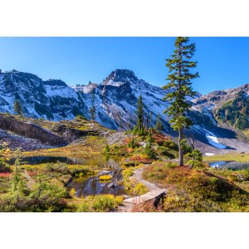Lais Puzzle - Fragment eines Wanderwegs im Mount Baker Visitor Center, Washington - 1.000 Teile