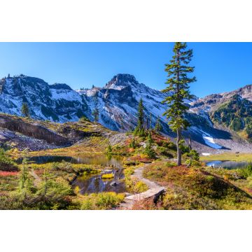 Lais Puzzle - Fragment eines Wanderwegs im Mount Baker Visitor Center, Washington - 2.000 Teile