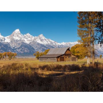 Lais Puzzle - T.A. Moulton Barn im Mormon Row Historic District im Grand Teton National Park, Wyoming - 40, 100, 200, 500, 1.000 & 2.000 Teile