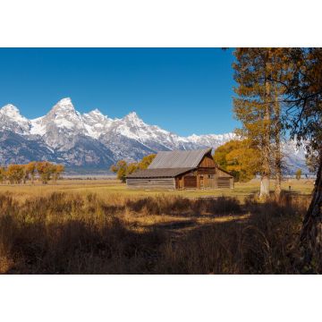 Lais Puzzle - T.A. Moulton Barn im Mormon Row Historic District im Grand Teton National Park, Wyoming - 1.000 Teile