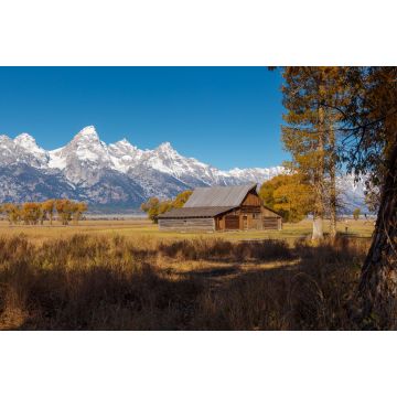 Lais Puzzle - T.A. Moulton Barn im Mormon Row Historic District im Grand Teton National Park, Wyoming - 2.000 Teile