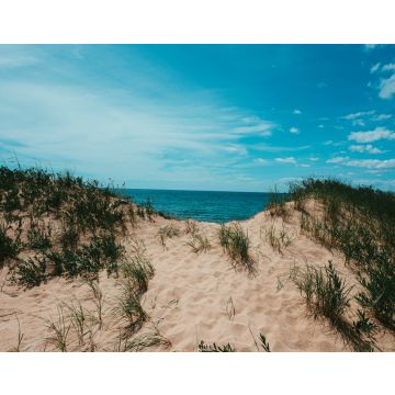 Lais Puzzle - Sanddünen Michigan - 40, 100, 200, 500, 1.000 & 2.000 Teile