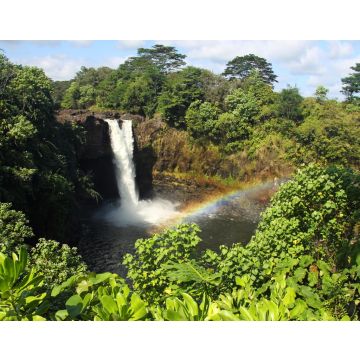 Lais Puzzle - Rainbow Falls (Big Island, Hawaii) - 40, 100, 200, 500, 1.000 & 2.000 Teile