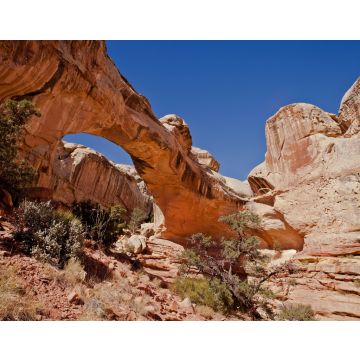 Lais Puzzle - Hickman Bridge, ein natürlicher Bogen im Capitol Reef National Park - 40, 100, 200, 500, 1.000 & 2.000 Teile