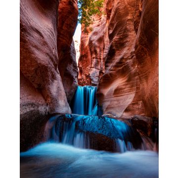 Lais Puzzle - Kanarra Creek - Wanderung im Zion Nationalpark - mystische Höhlen mit Hühnerleitern - 40, 100, 200, 500, 1.000 & 2.000 Teile