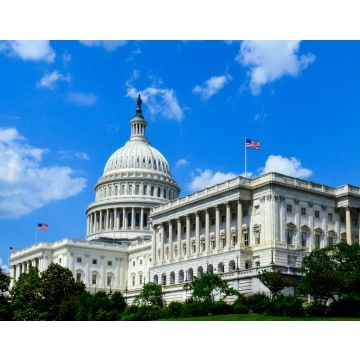 Lais Puzzle - United States Capitol Gebäude - 40, 100, 200, 500, 1.000 & 2.000 Teile