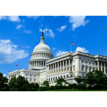 Lais Puzzle - United States Capitol Gebäude - 1.000 Teile