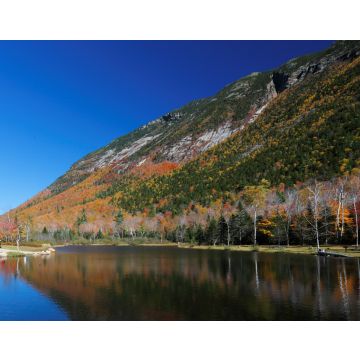 Lais Puzzle - Laub von White Mountain, New Hampshire, USA - 40, 100, 200, 500, 1.000 & 2.000 Teile