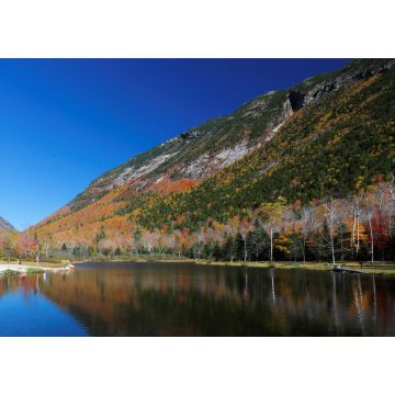 Lais Puzzle - Laub von White Mountain, New Hampshire, USA - 1.000 Teile