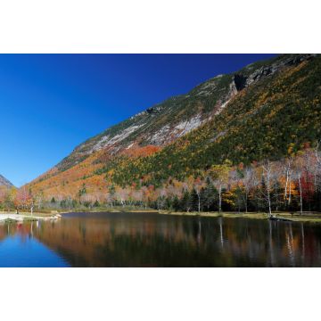 Lais Puzzle - Laub von White Mountain, New Hampshire, USA - 2.000 Teile