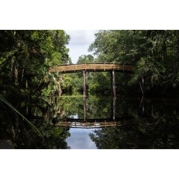 Lais Puzzle - Schöner Blick auf die Brücke im Hillsborough River State Park, Florida, USA - 2.000 Teile