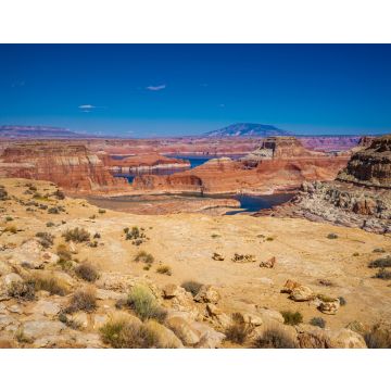Lais Puzzle - Blick auf den Lake Powell vom Alstrom Point in Utah - 40, 100, 200, 500, 1.000 & 2.000 Teile