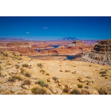 Lais Puzzle - Blick auf den Lake Powell vom Alstrom Point in Utah - 1.000 Teile