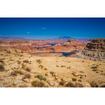Lais Puzzle - Blick auf den Lake Powell vom Alstrom Point in Utah - 2.000 Teile