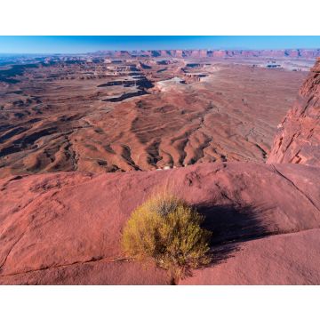 Lais Puzzle - Canyonlands-Nationalpark, Utah - 40, 100, 200, 500, 1.000 & 2.000 Teile