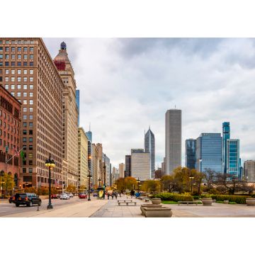 Lais Puzzle - Chicago City Straßenansicht in Illinois, USA - 1.000 Teile