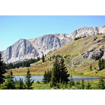 Lais Puzzle - Medicine Bow National Forest in Wyoming, Vereinigte Staaten - 1.000 Teile