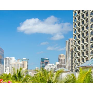 Lais Puzzle - Palmen und Hausdächer in Honolulu, Hawaii, USA - 40, 100, 200, 500, 1.000 & 2.000 Teile