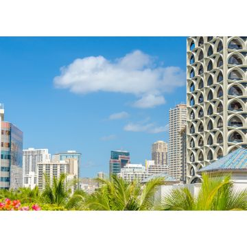 Lais Puzzle - Palmen und Hausdächer in Honolulu, Hawaii, USA - 1.000 Teile