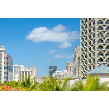 Lais Puzzle - Palmen und Hausdächer in Honolulu, Hawaii, USA - 2.000 Teile