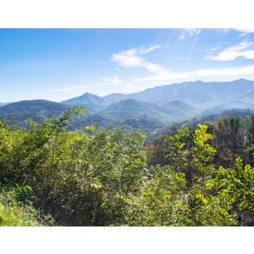 Lais Puzzle - Great Smoky Mountains in der Nähe von Gatlinburg, Tennessee - 40, 100, 200, 500, 1.000 & 2.000 Teile