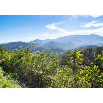 Lais Puzzle - Great Smoky Mountains in der Nähe von Gatlinburg, Tennessee - 1.000 Teile