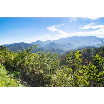 Lais Puzzle - Great Smoky Mountains in der Nähe von Gatlinburg, Tennessee - 2.000 Teile