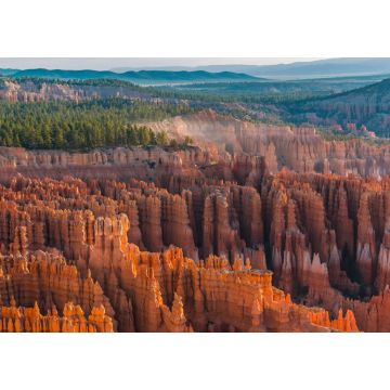 Lais Puzzle - Hoodoos von Silent City vom Inspiration Point, Bryce Canyon National Park, Utah, USA - 1.000 Teile