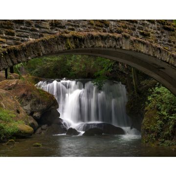 Lais Puzzle - Whatcom Falls unter der Brücke - 40, 100, 200, 500, 1.000 & 2.000 Teile