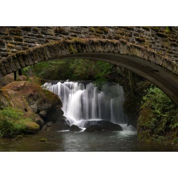Lais Puzzle - Whatcom Falls unter der Brücke - 1.000 Teile