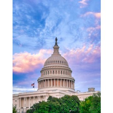 Lais Puzzle - Das Kapitol der Vereinigten Staaten in Washington, D.C. - 40, 100, 200, 500, 1.000 & 2.000 Teile
