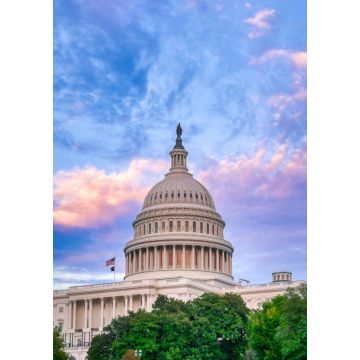 Lais Puzzle - Das Kapitol der Vereinigten Staaten in Washington, D.C. - 1.000 Teile