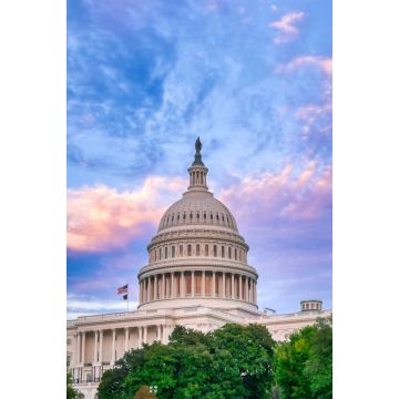 Lais Puzzle - Das Kapitol der Vereinigten Staaten in Washington, D.C. - 2.000 Teile