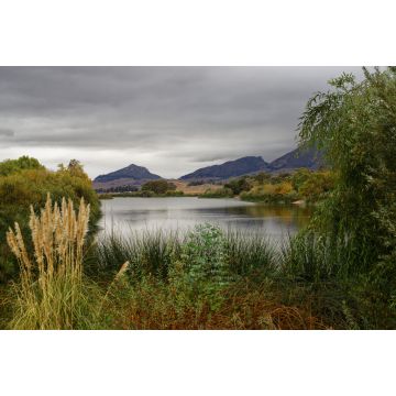 Lais Puzzle - Laguna Lake Park an einem bewölkten Tag in San Luis Obispo, Kalifornien, USA - 2.000 Teile
