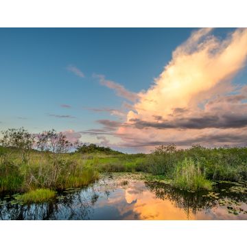 Lais Puzzle - Faszinierender Blick auf den Everglades National Park in Florida bei Sonnenuntergang - 40, 100, 200, 500, 1.000 & 2.000 Teile