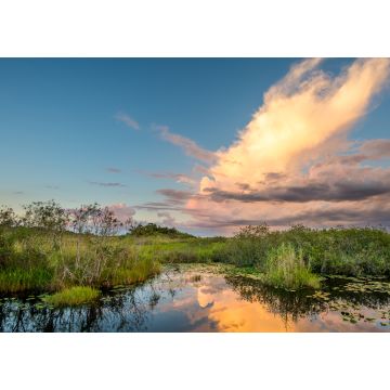 Lais Puzzle - Faszinierender Blick auf den Everglades National Park in Florida bei Sonnenuntergang - 1.000 Teile