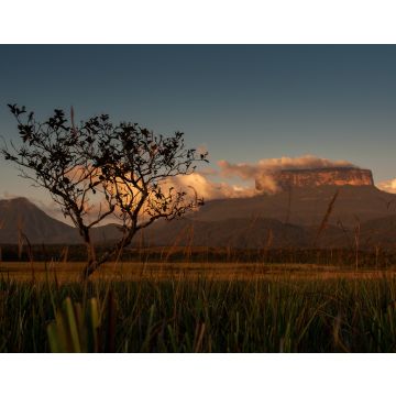 Lais Puzzle - Blick auf das Ptari Tepui Plateau bei Sonnenuntergang auf dem Weg zum Karuay Wasserfall La Gran Sabana Venezuela - 40, 100, 200, 500, 1.000 & 2.000 Teile