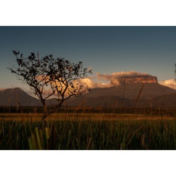 Lais Puzzle - Blick auf das Ptari Tepui Plateau bei Sonnenuntergang auf dem Weg zum Karuay Wasserfall La Gran Sabana Venezuela - 1.000 Teile