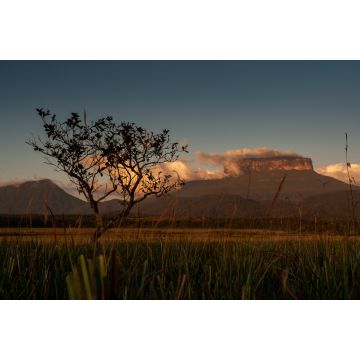 Lais Puzzle - Blick auf das Ptari Tepui Plateau bei Sonnenuntergang auf dem Weg zum Karuay Wasserfall La Gran Sabana Venezuela - 2.000 Teile