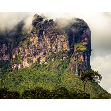 Lais Puzzle - Aussicht auf die Berge und Schluchten des Canaima-Nationalparks - 40, 100, 200, 500, 1.000 & 2.000 Teile
