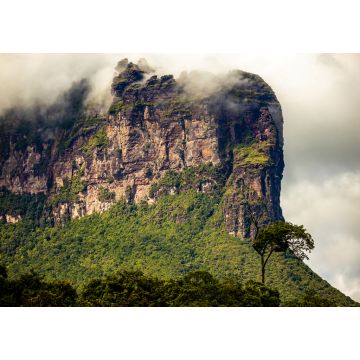 Lais Puzzle - Aussicht auf die Berge und Schluchten des Canaima-Nationalparks - 1.000 Teile
