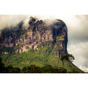 Lais Puzzle - Aussicht auf die Berge und Schluchten des Canaima-Nationalparks - 2.000 Teile