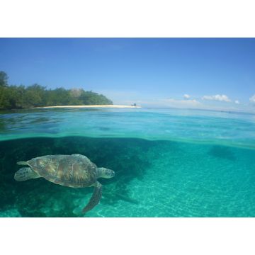 Lais Puzzle - Unterwasserszene , Karibisches Meer , Venezuela - 1.000 Teile