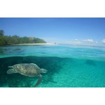Lais Puzzle - Unterwasserszene , Karibisches Meer , Venezuela - 2.000 Teile