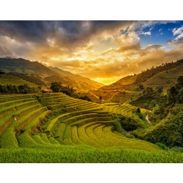 Lais Puzzle - Terrassenreisfeld - Bezirk Mù Căng Chải, Provinz Yen Bai, Vietnam - 40, 100, 200, 500, 1.000 & 2.000 Teile
