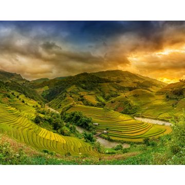 Lais Puzzle - Reisfelder auf Terrassen im Sonnenuntergang Mu chang chai, Yen bai, Vietnam - 40, 100, 200, 500, 1.000 & 2.000 Teile