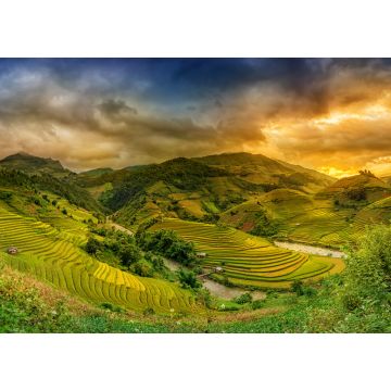 Lais Puzzle - Reisfelder auf Terrassen im Sonnenuntergang Mu chang chai, Yen bai, Vietnam - 1.000 Teile