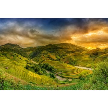 Lais Puzzle - Reisfelder auf Terrassen im Sonnenuntergang Mu chang chai, Yen bai, Vietnam - 2.000 Teile