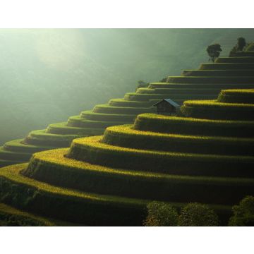 Lais Puzzle - Reisfelder Mu Cang Chai, Vietnam - 40, 100, 200, 500, 1.000 & 2.000 Teile